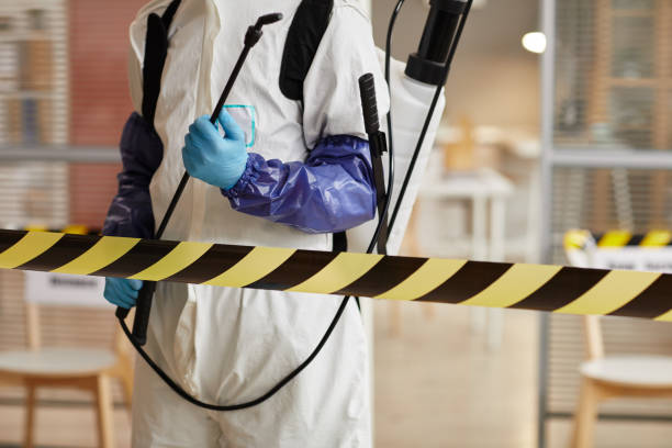 Professional Sewage Cleanup technician working in Farmland, IN
